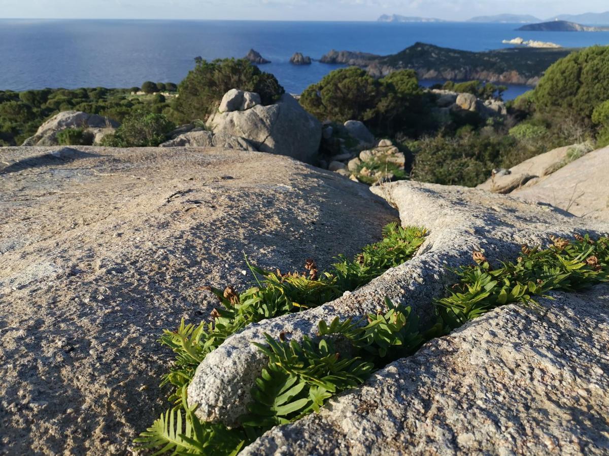 Casa Vacanze Richi&Michi Chia Βίλα Εξωτερικό φωτογραφία